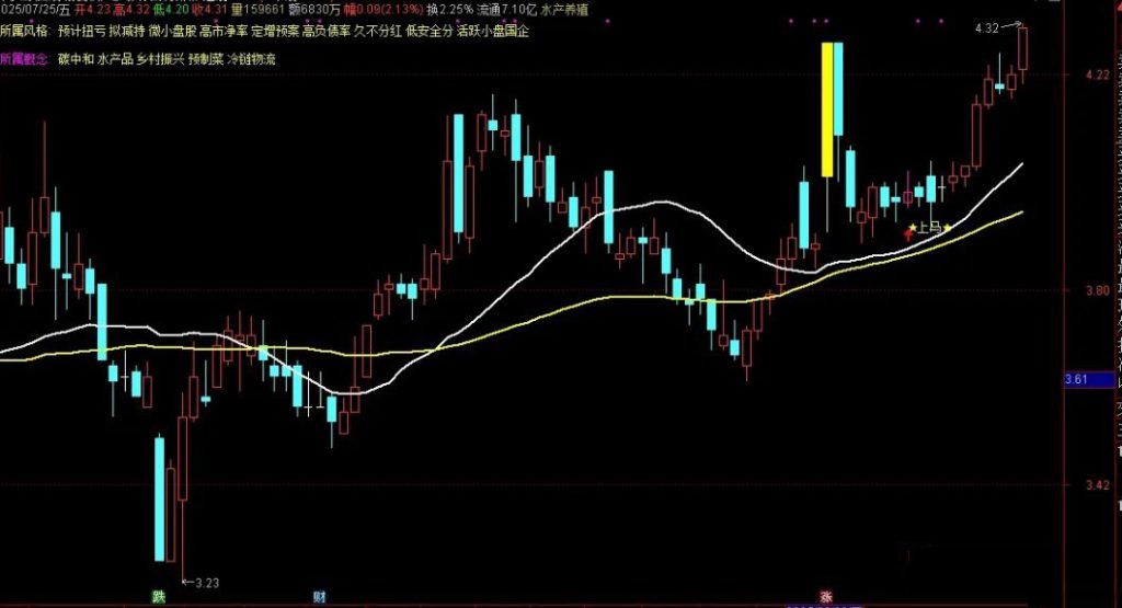 图片[2]-通达信【回调低吸战法】高成功率低吸战法 强势股回调跟踪 副图+选股-指标666