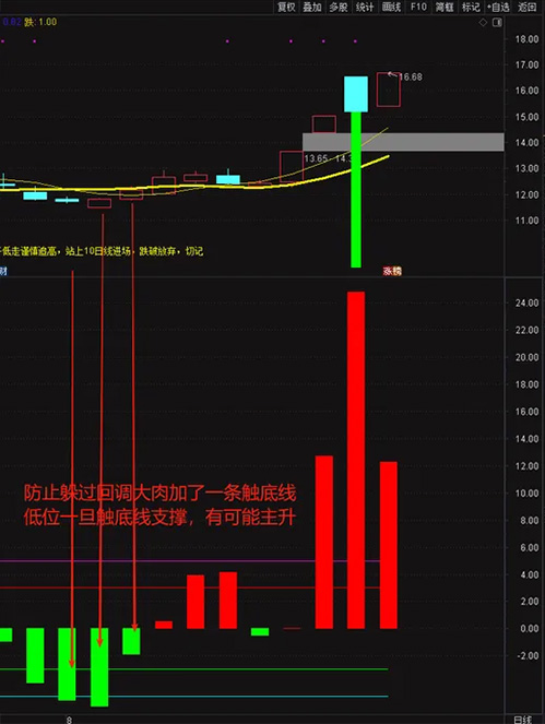 图片[8]-通达信〖神秘5日线〗副图指标 让你知道怎么跌怎么涨怎么躲风险！源码-指标666