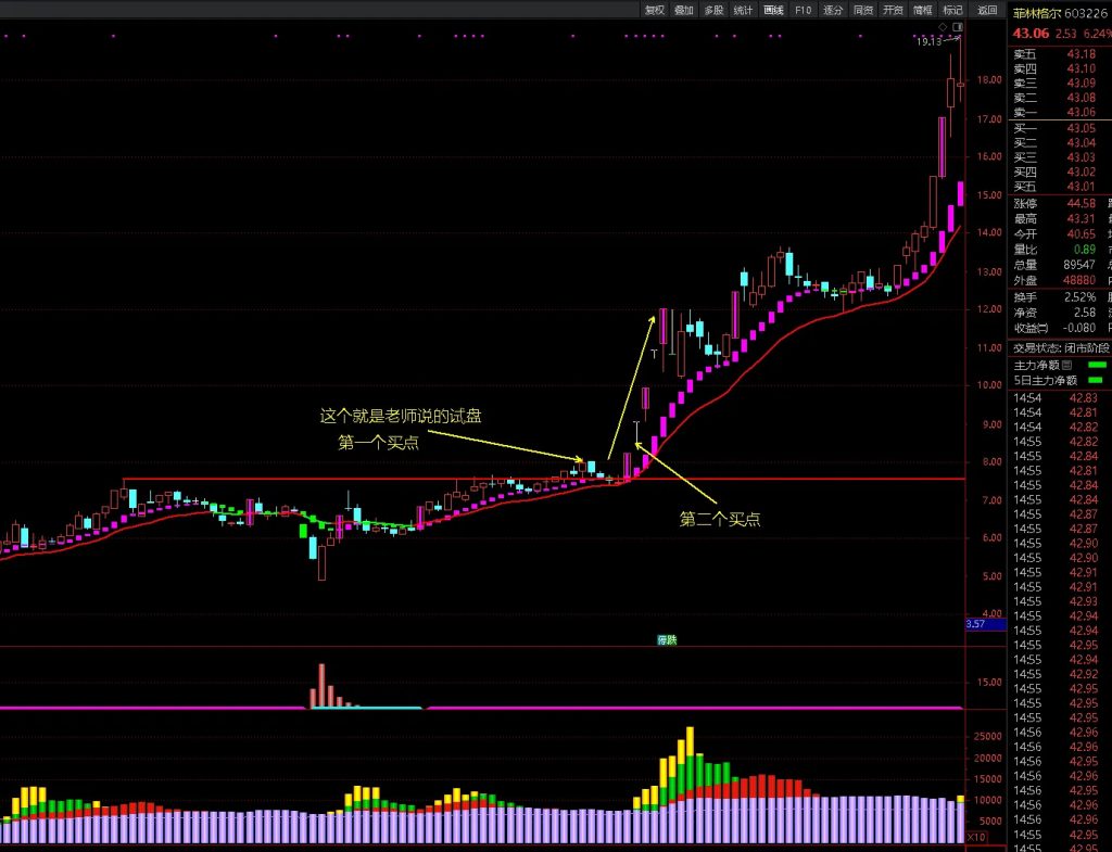 图片[3]-好人好股强龙指标 抄底先锋另类玩法与实战技巧 抄底先锋+主力进入+多空趋势线-指标666