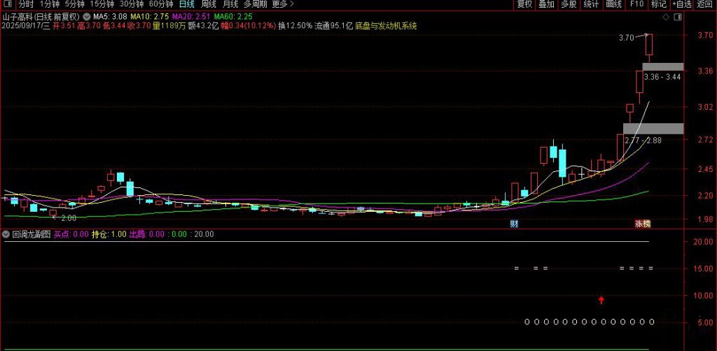 图片[1]-通达信【尾盘回调龙】副图+选股 尾盘吸 涨停回调龙无未来-指标666