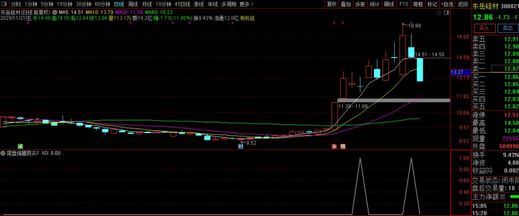 图片[9]-趋势上升中的【尾盘缩量阴买】副图+选股 趋势回调擒牛买入策略-指标666