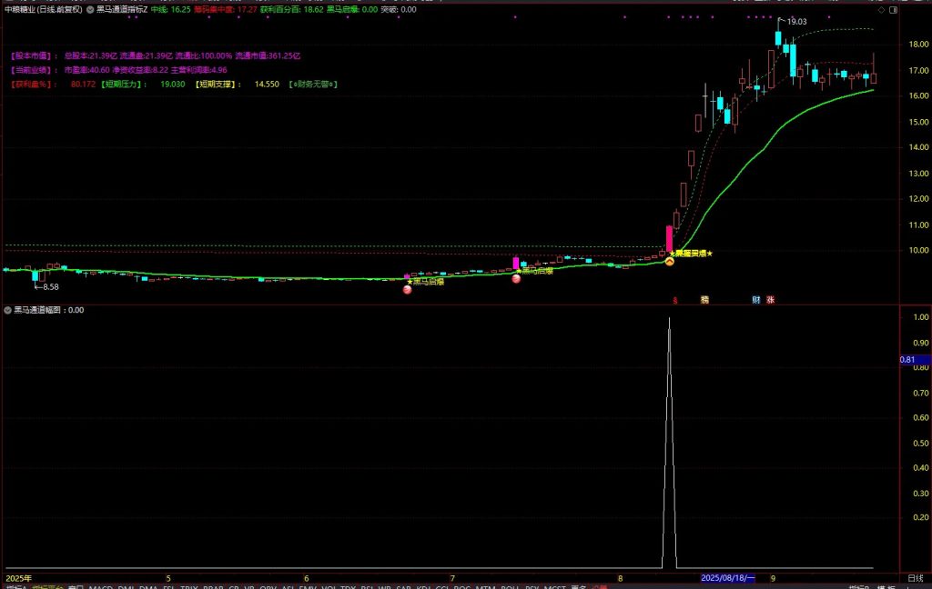 图片[4]-通达信【游资主力起爆】主副图+选股 捕捉个股加速拉升主升浪-指标666