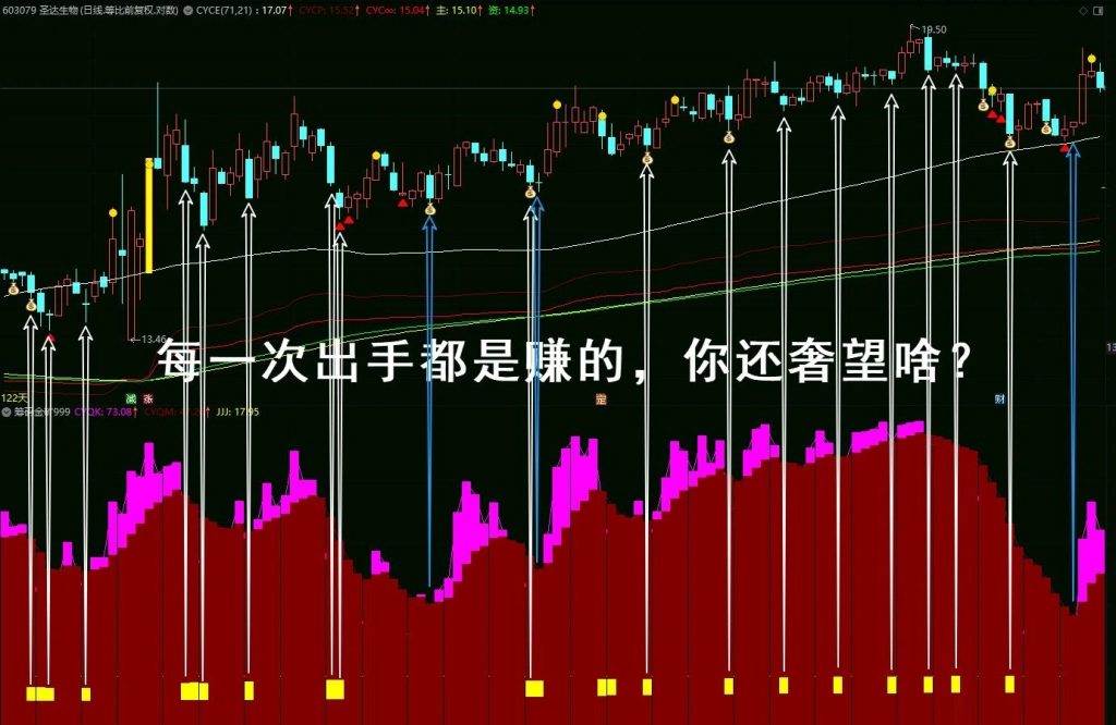 图片[4]-通达信【筹码黄金矿工】副图指标 开挖山中的金矿 筹码竖向分析 筹码赚家老师作品-指标666
