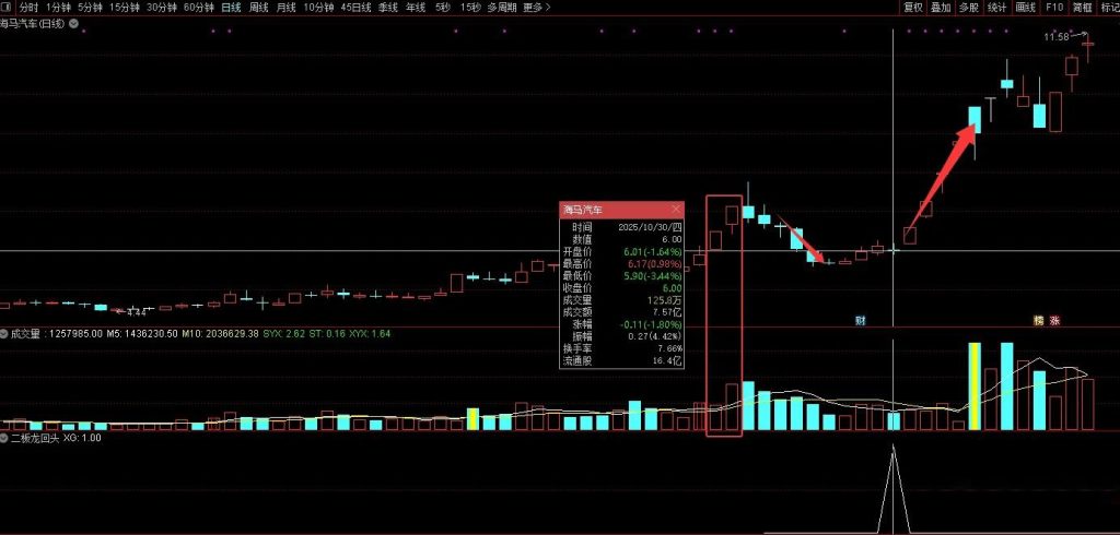 图片[1]-通达信【二板龙回头】海马汽车、孚日股份走妖逻辑的量化 副图+选股指标-指标666