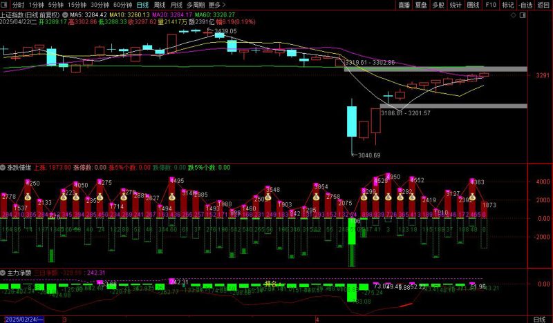 通达信【市场涨跌情绪分析】+【主力净额】副图指标-指标666