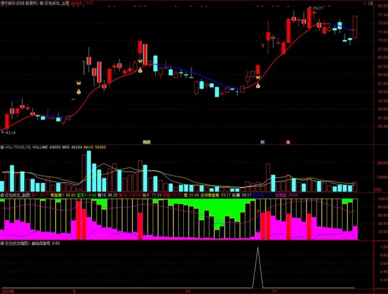 【反包成龙】筹码高度集中+主力游资合力共振 中期强趋势下的高确定性启动-指标666