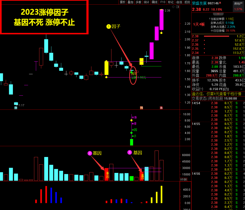 2023涨停因子《基因+因子 尾盘阴线信号》基因不死 涨停不止 原创精选思路设计-指标666