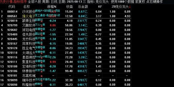 通达信【竞价龙头】副图排序 专注于昨日涨停股的排序 开盘前快速定位可能的强势股-指标666