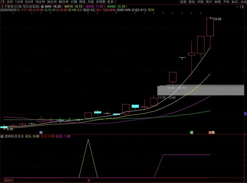 通达信【萧啸底部真龙】副图+选股指标 精准捕捉龙头股底部启动信号 萧啸老师作品-指标666