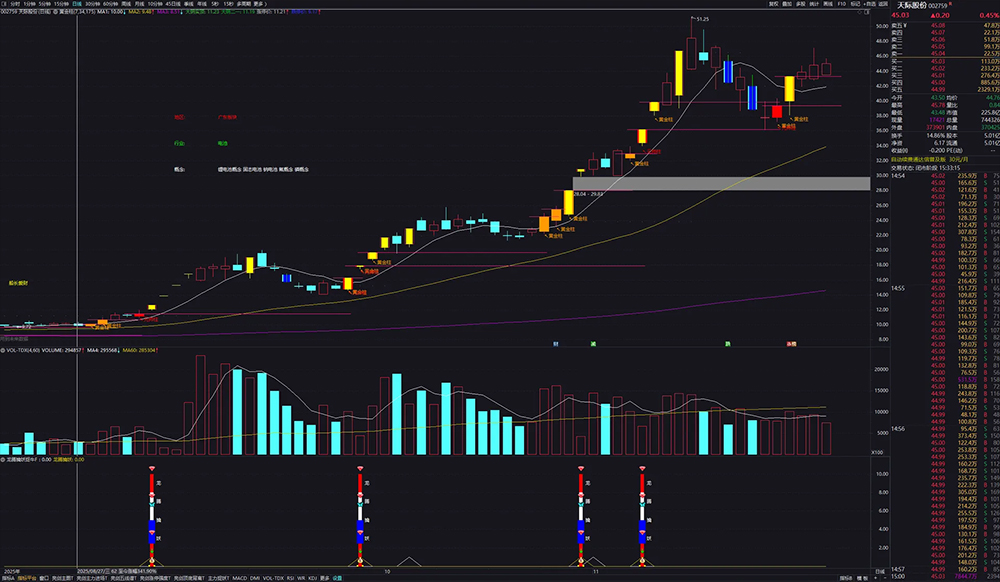 图片[3]-自用【黄金柱战法+龙腾擒妖】套装指标 趋势打板 多因子共振的强势股捕捉-指标666