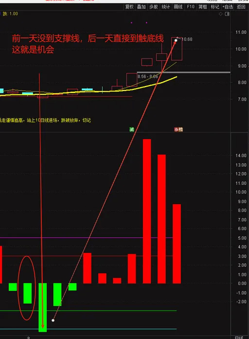 图片[9]-通达信〖神秘5日线〗副图指标 让你知道怎么跌怎么涨怎么躲风险！源码-指标666