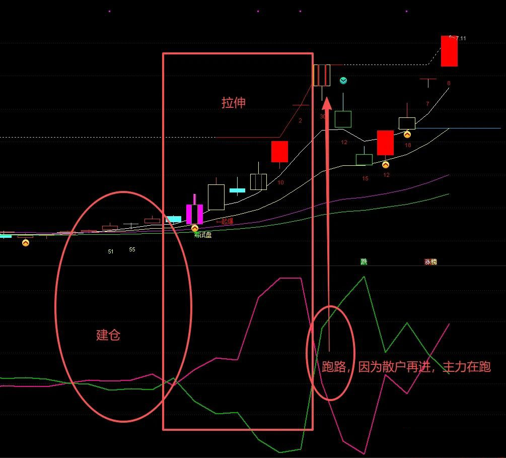 图片[2]-通达信【资金4线】解密超级资金和散户之间的关系 需L2支持 副图源码-指标666