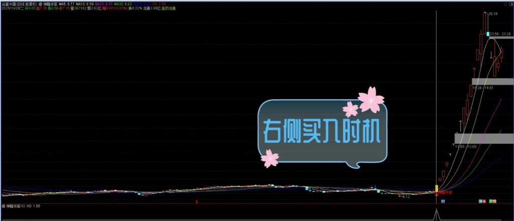 图片[4]-通达信【神雕侠客】多重技术捕捉买入机会与机构大单同期介入 主副图+选股-指标666