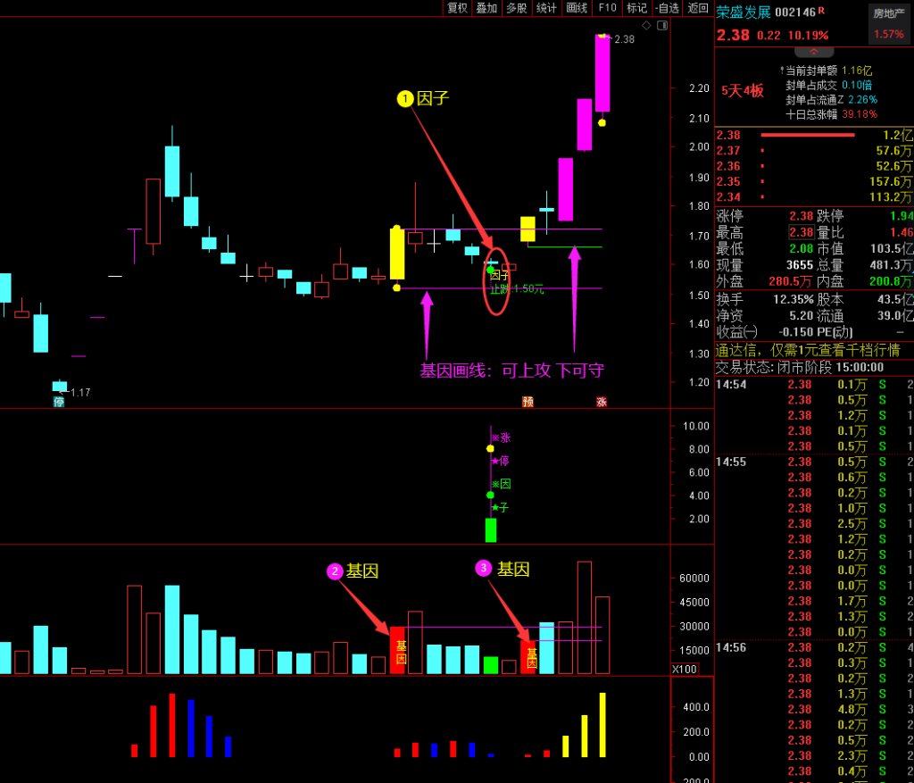 图片[2]-2023涨停因子《基因+因子 尾盘阴线信号》基因不死 涨停不止 原创精选思路设计-指标666