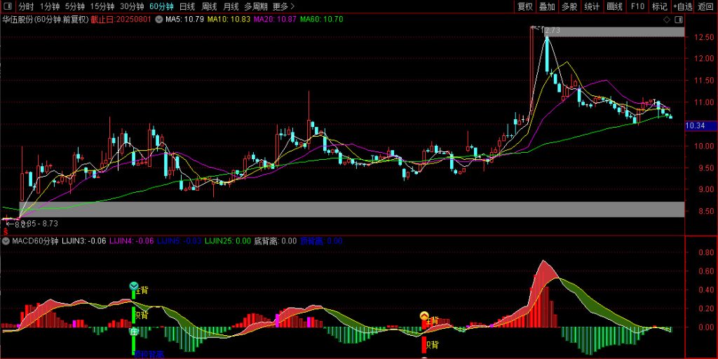 图片[4]-通达信【MACD60分钟波段高阶玩法】高成功率波段 出现红色小箭头时候买入-指标666