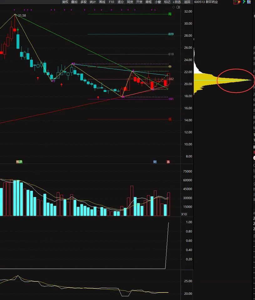 图片[5]-顶格筹码峰的计算——判断主力动向、捕捉强势股的重要技术指标 副图+选股-指标666