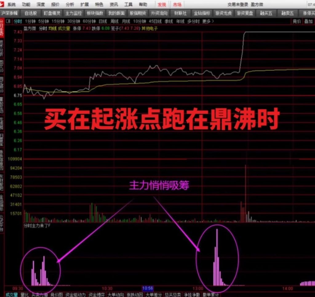 图片[13]-2025新版【双紫擒龙】紫紫红黄庄家控盘分时主力吸筹动能二号起涨高抛低吸-指标666