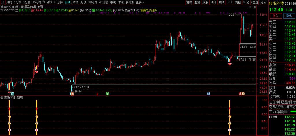图片[7]-通达信〖黑马回调〗早盘竞价强势股低吸信号捕捉，成功率还不错-指标666