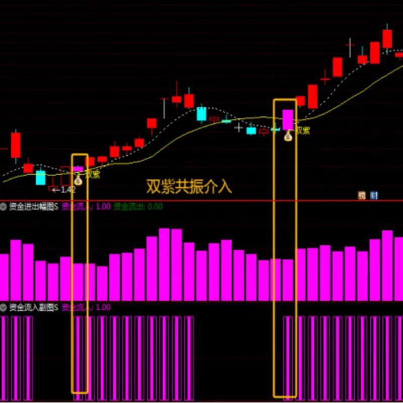 图片[35]-2025【双紫擒龙】最新版91个指标，紫紫红黄庄家控盘分时主力吸筹动能二号-指标666