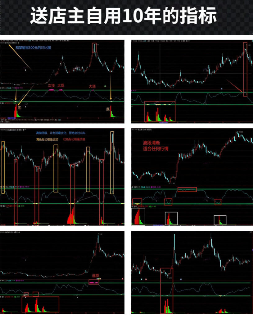 图片[16]-2025【双紫擒龙】最新版91个指标，紫紫红黄庄家控盘分时主力吸筹动能二号-指标666