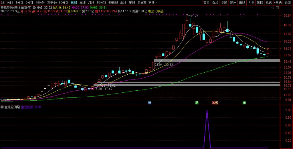 图片[6]-通达信【2026金龙轮回】上涨后的健康回调至关键支撑位 副图+选股-指标666