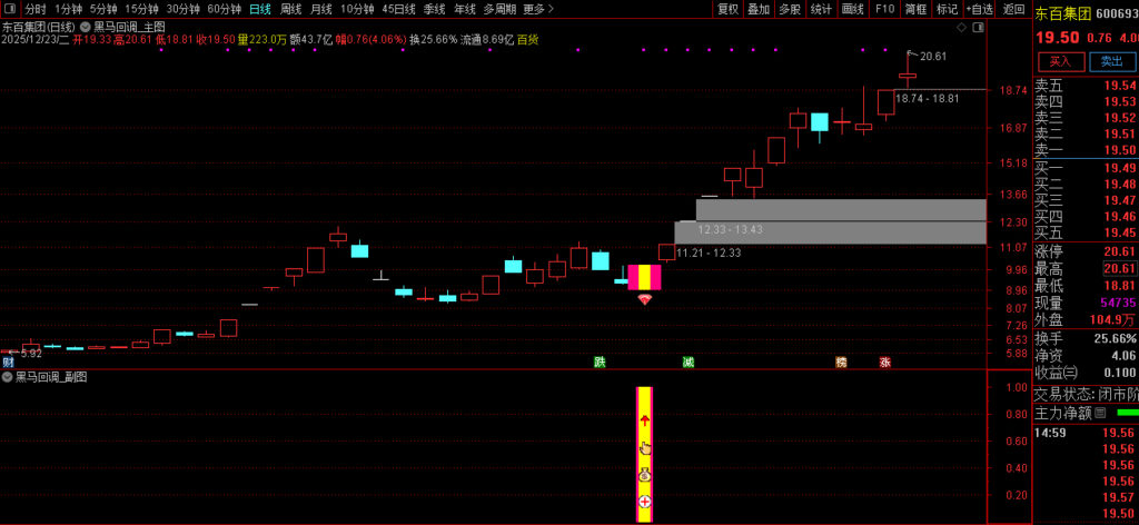 图片[2]-通达信〖黑马回调〗早盘竞价强势股低吸信号捕捉，成功率还不错-指标666