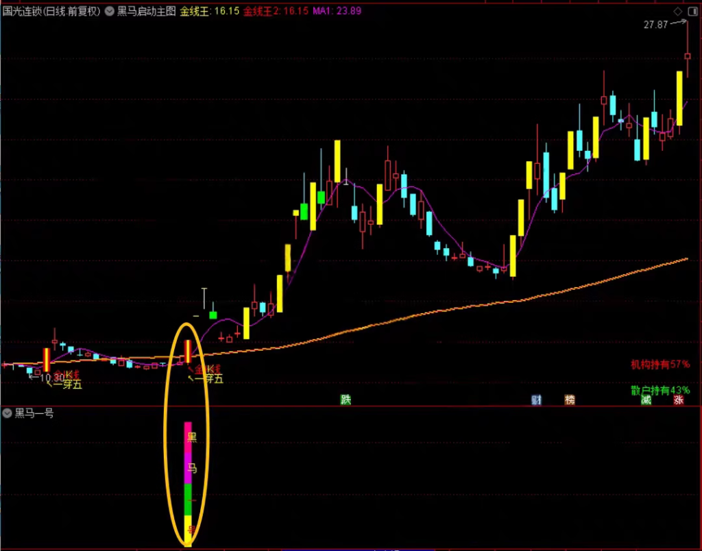 图片[4]-2026【黑马涨停王】预警决策系统-抓板神器、黑马启动、盘中决策，多头趋势启动连续上涨，手机电脑通用无未来-指标666