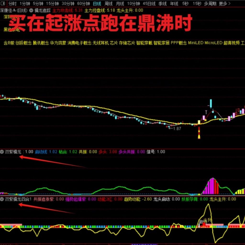 图片[14]-2025新版【双紫擒龙】紫紫红黄庄家控盘分时主力吸筹动能二号起涨高抛低吸-指标666