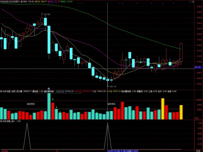 通达信【极致缩量】识别市场中的极度缩量形态 捕捉主力洗盘结束后的关键启动信号-指标666