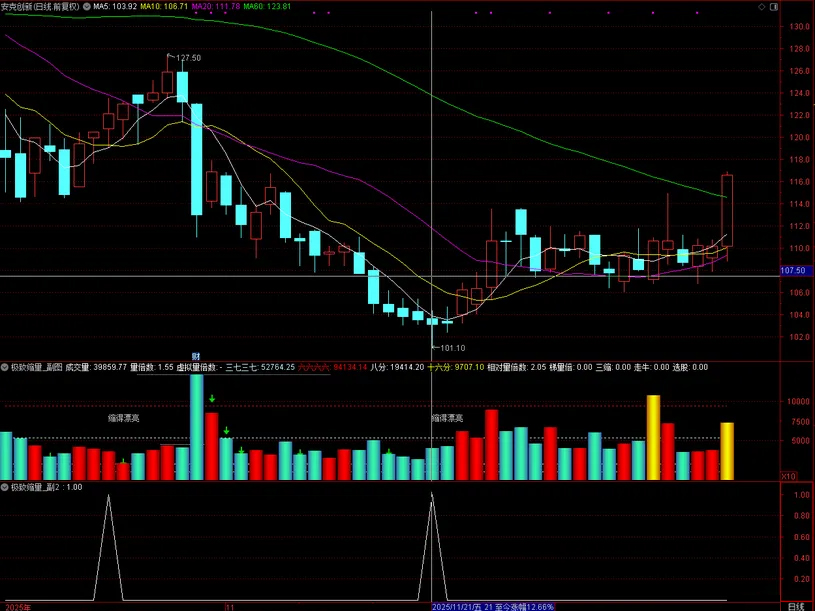 图片[1]-通达信【极致缩量】识别市场中的极度缩量形态 捕捉主力洗盘结束后的关键启动信号-指标666