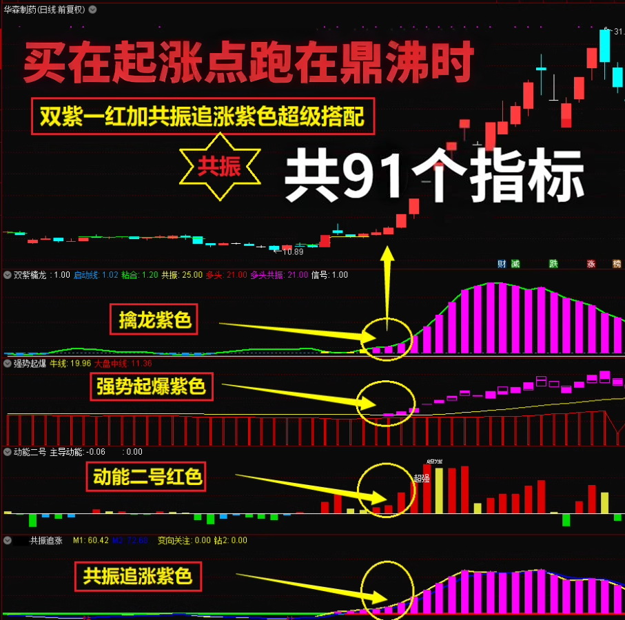 图片[2]-2025【双紫擒龙】最新版91个指标，紫紫红黄庄家控盘分时主力吸筹动能二号-指标666