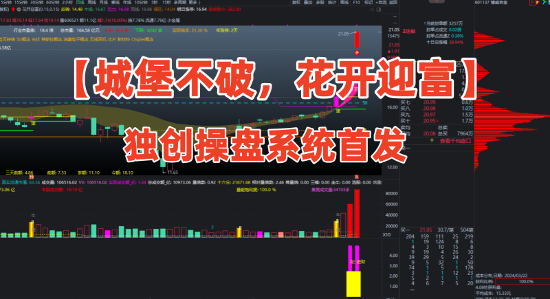 通达信【城堡不破花开迎富】之独创操盘系统首发，研究当前最突出的股票，投资最活跃的龙头股!-指标666