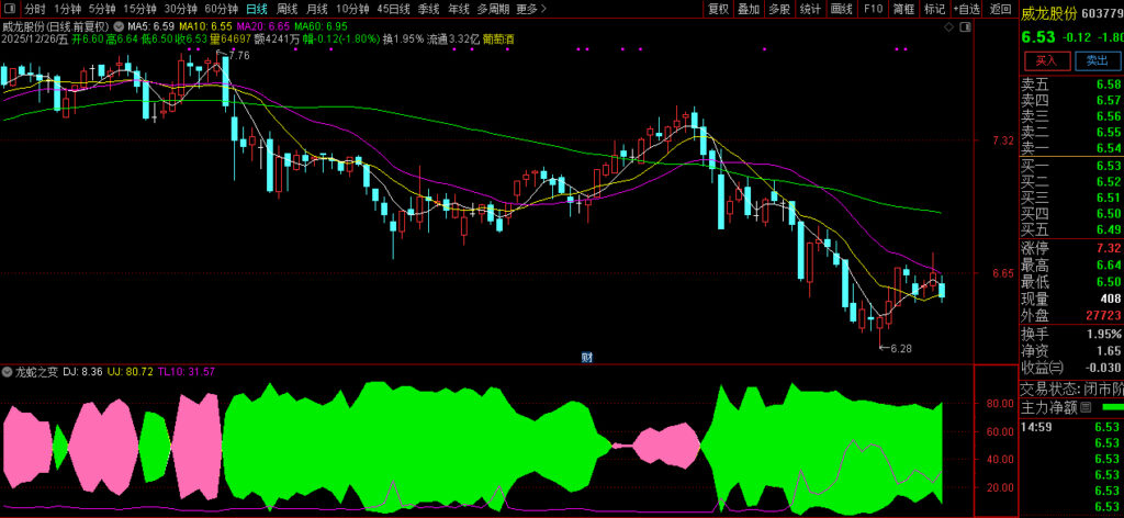 图片[6]-通达信〖龙蛇之变〗副图指标 教会怎么轻松拿捏主升龙头-指标666