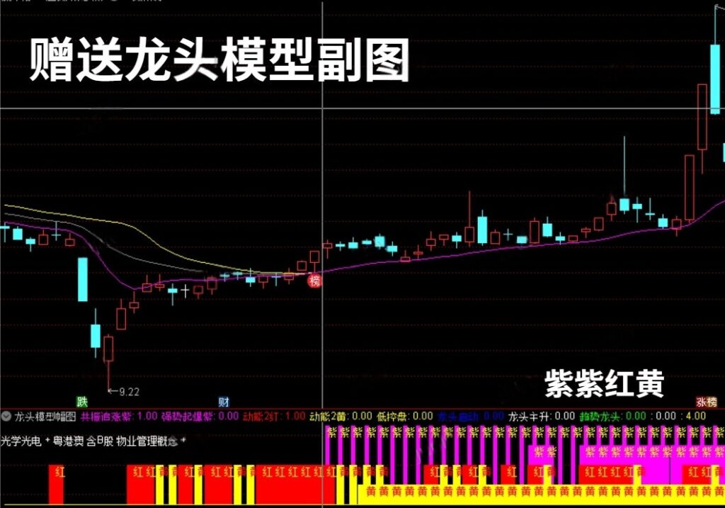 图片[4]-2025【双紫擒龙】最新版91个指标，紫紫红黄庄家控盘分时主力吸筹动能二号-指标666