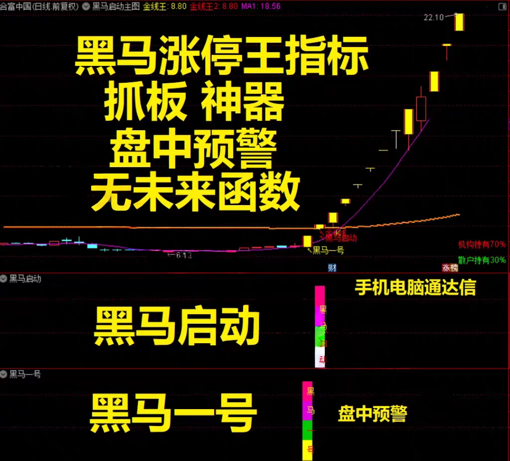 2026【黑马涨停王】预警决策系统-抓板神器、黑马启动、盘中决策，多头趋势启动连续上涨，手机电脑通用无未来-指标666