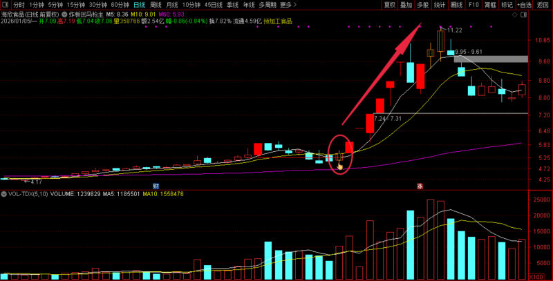 通达信【炸板回马枪】主副图+选股 量化时代妖股启动标志-指标666
