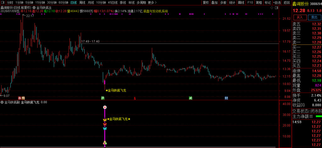 图片[12]-通达信【金马铁底飞龙】主副图+选股 量化抄底擒龙的利器 底部成功率高 指标源码-指标666
